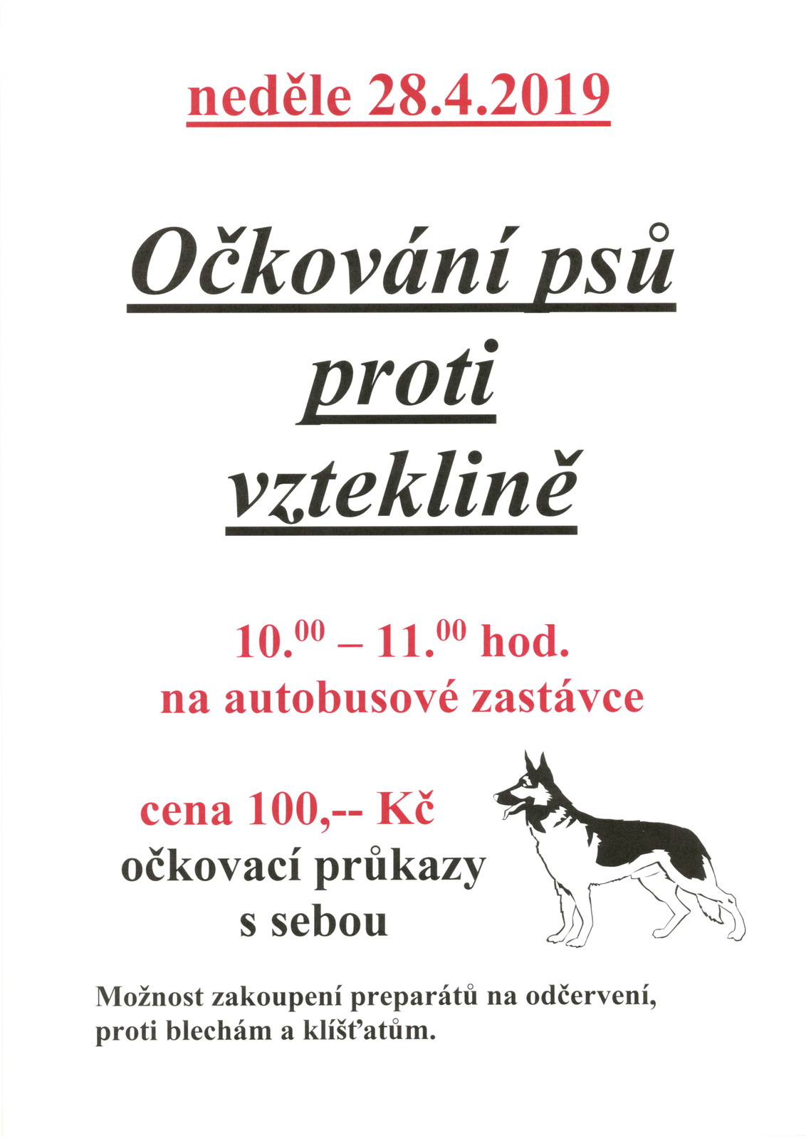 Očkování psů.jpg